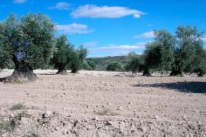 private madrid museum tours madrid places to visit