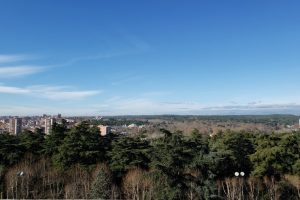 madrid museum tours private strolls