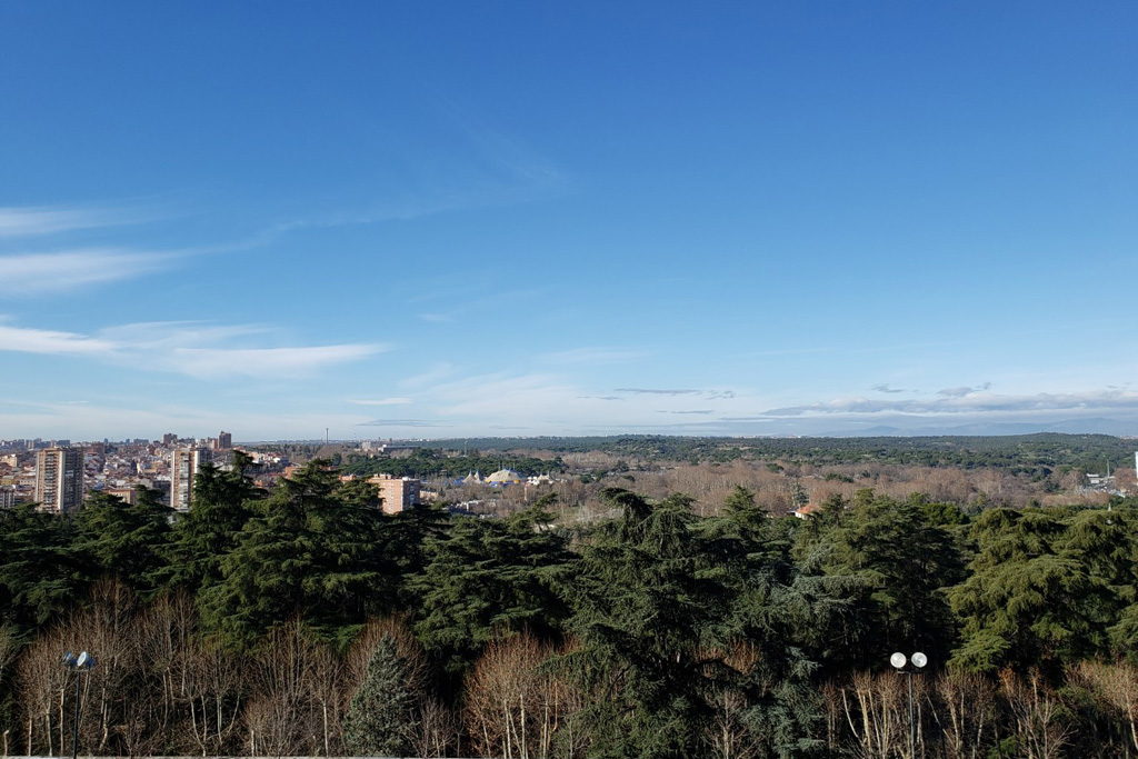 madrid museum tours private strolls