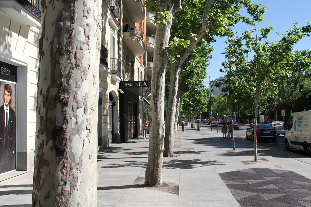 madrid museum tours private strolls