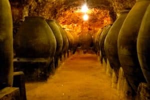 Madrid Museum Tours.Colmenar de Oreja. Bodega